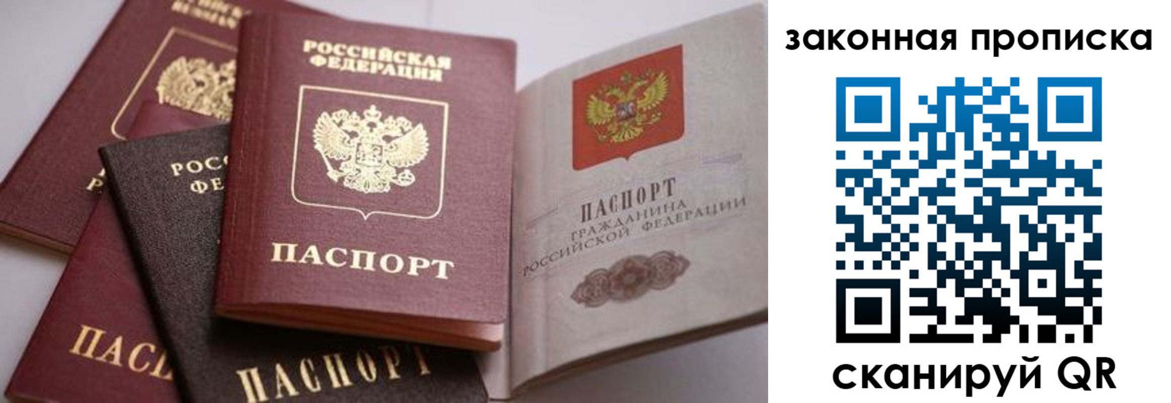 прописка гарантия в Сочи